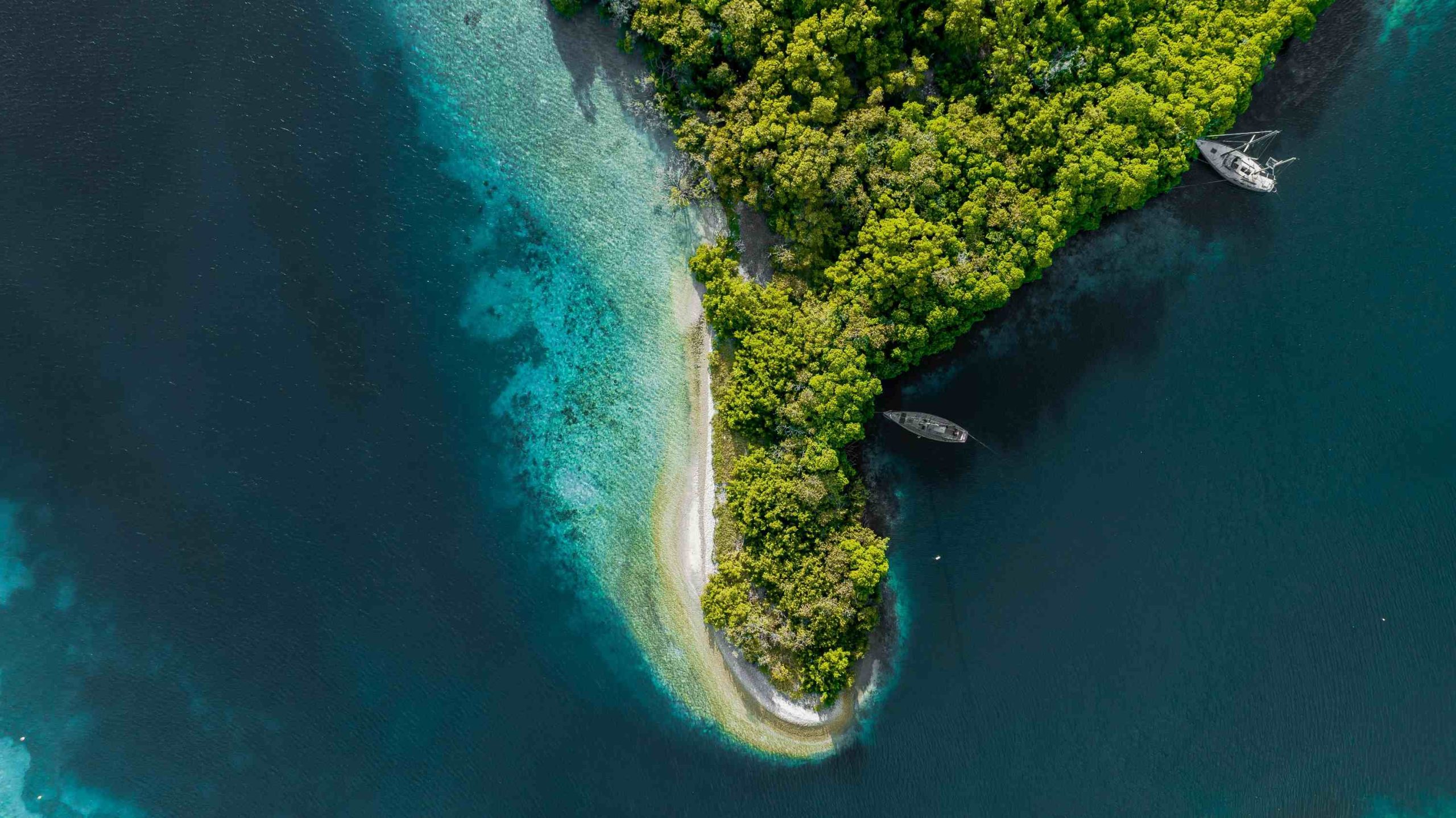 Ekosistem Pesisir: Jaringan Kehidupan di Antara Darat dan Laut