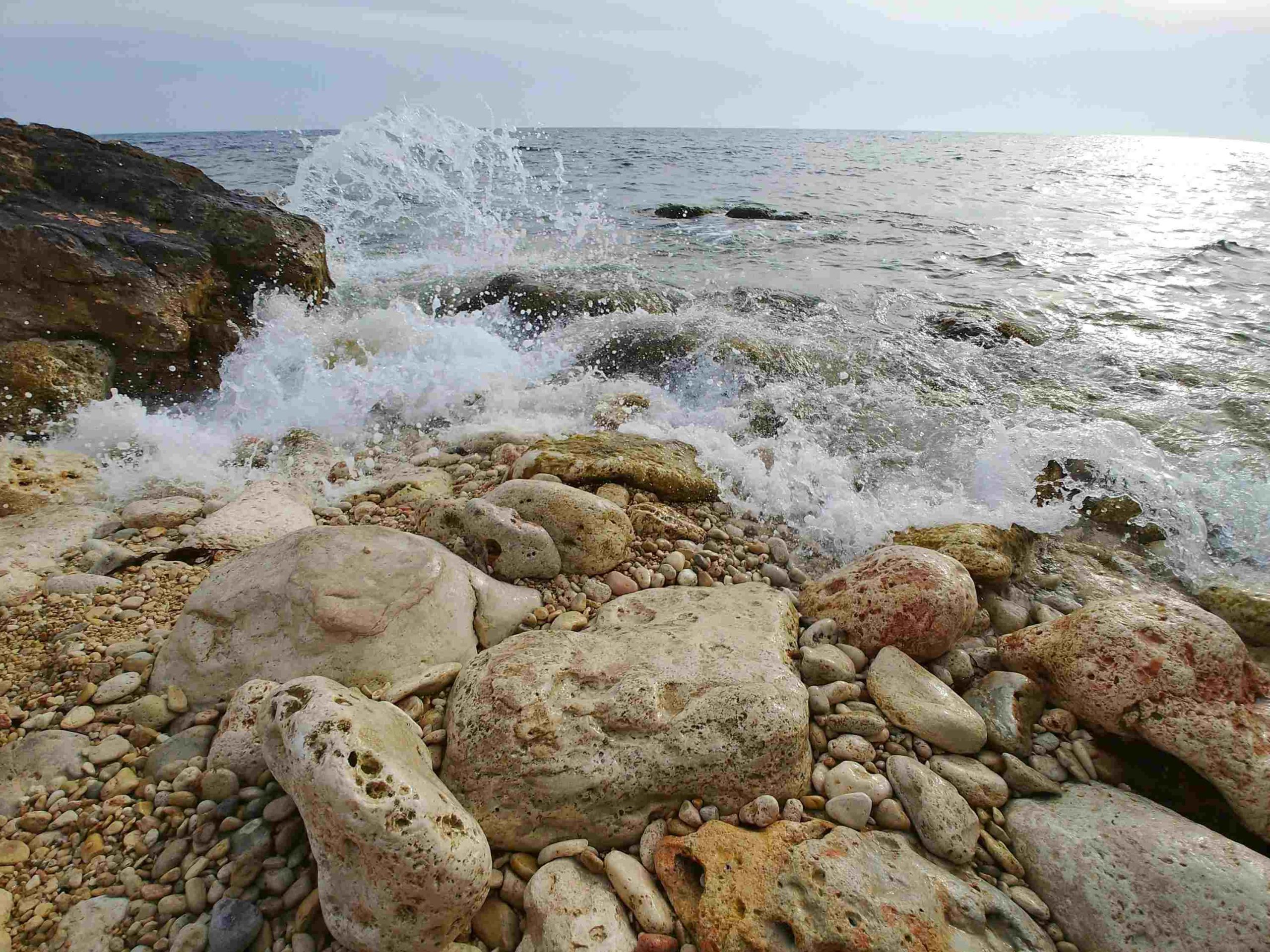 Pantai Berbatu: Ekosistem Pesisir yang Tahan terhadap Perubahan