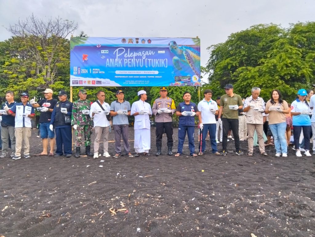 Pelepasan Perdana Tukik di Pantai Kerobokan